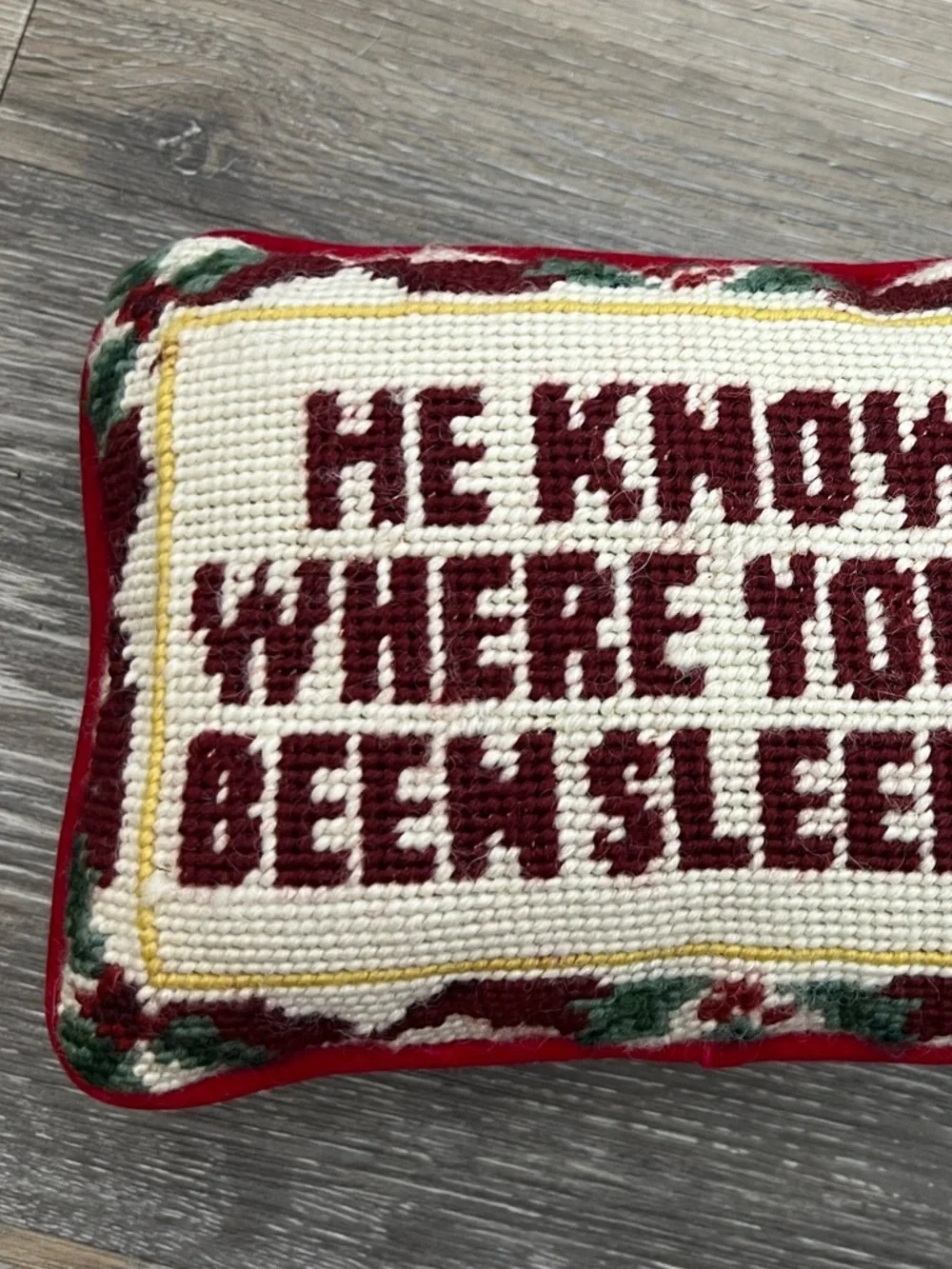 He knows where you’ve been sleeping needle point pillow